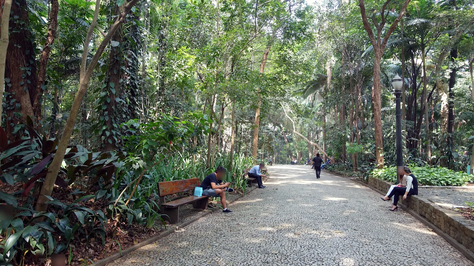 Foto de Parque Trianon, em São Paulo